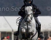 Chiaudani American Blue TosTour2013- S5 2658 : American Blue, Arezzo, Arezzo Equestrian Centre, Chiaudani Natale, Toscana Tour 2013, foto di Stefano Secchi ©
